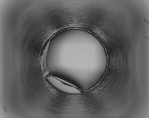 X0000097861268200804041521