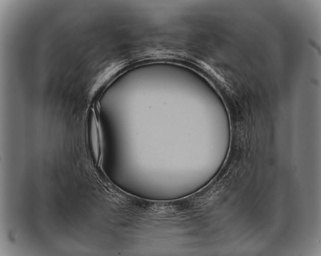 X0000097861269200804041521