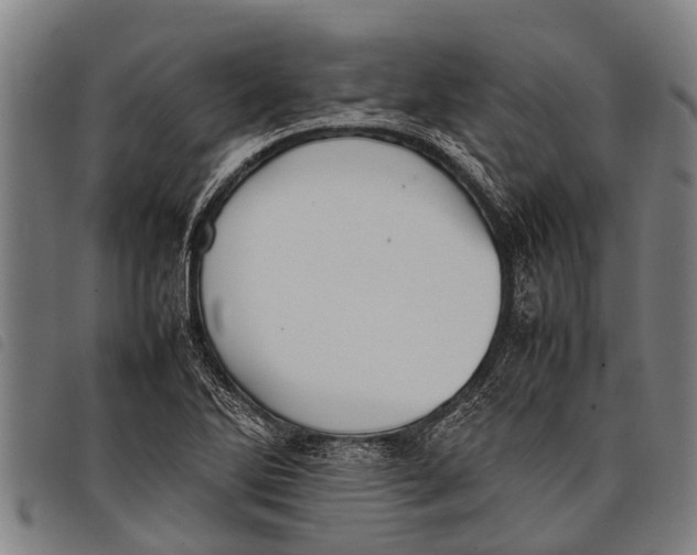 X0000097861270200804041521