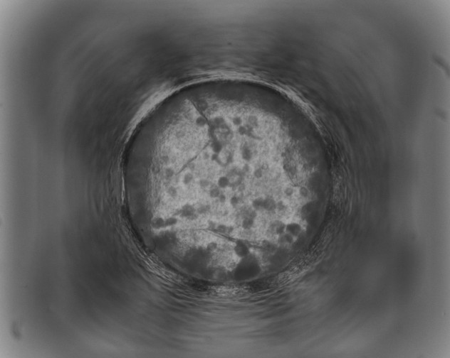 X0000097861271200804041521