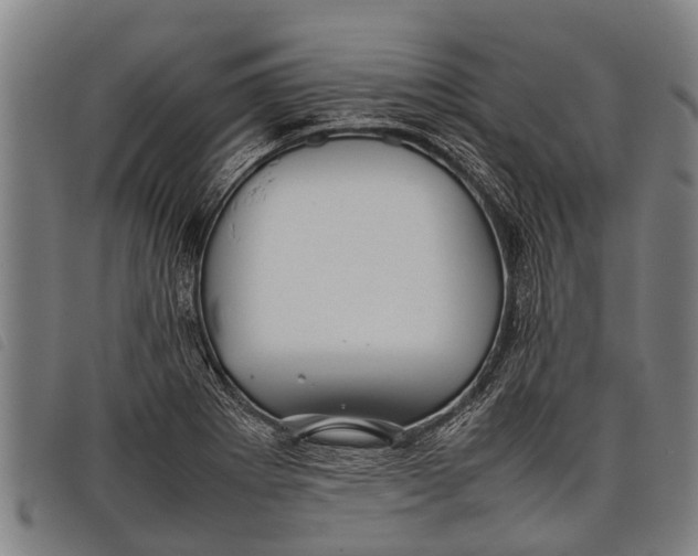 X0000097861273200804041521