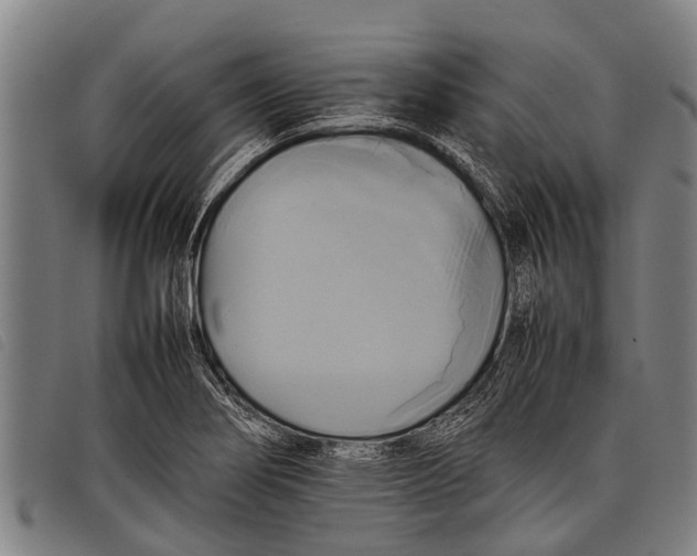 X0000097861274200804041521