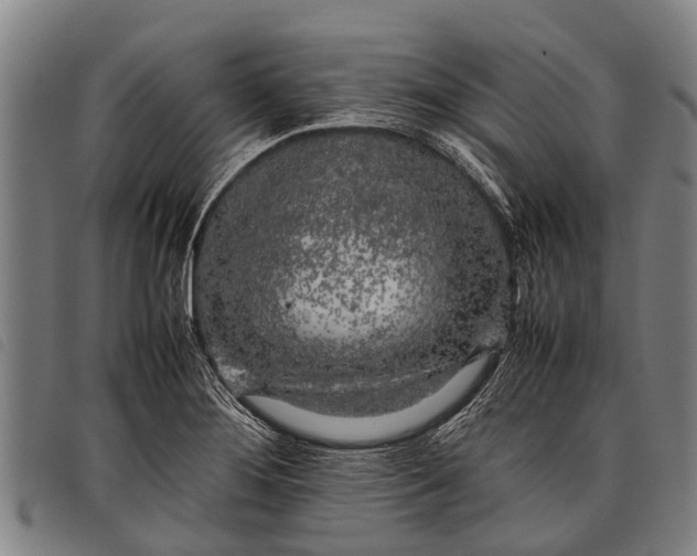 X0000097861276200804041520