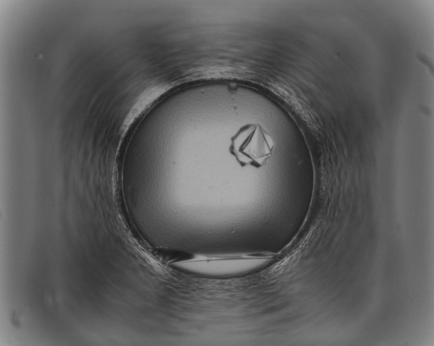 X0000097861277200804041520