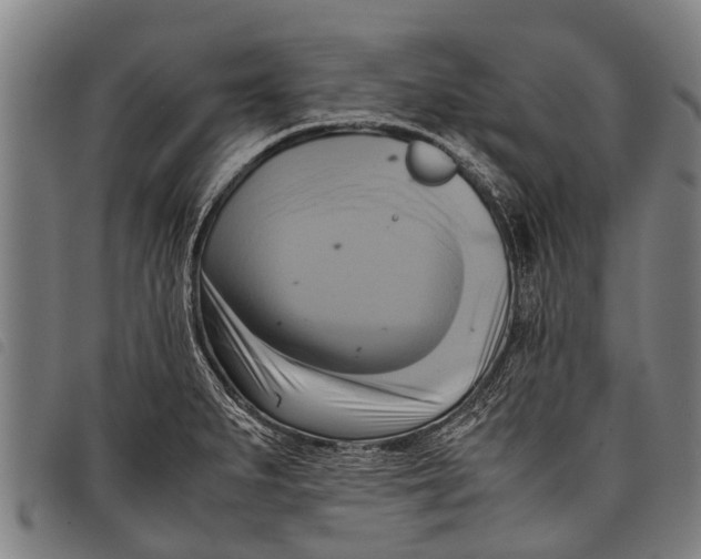 X0000097861279200804041520