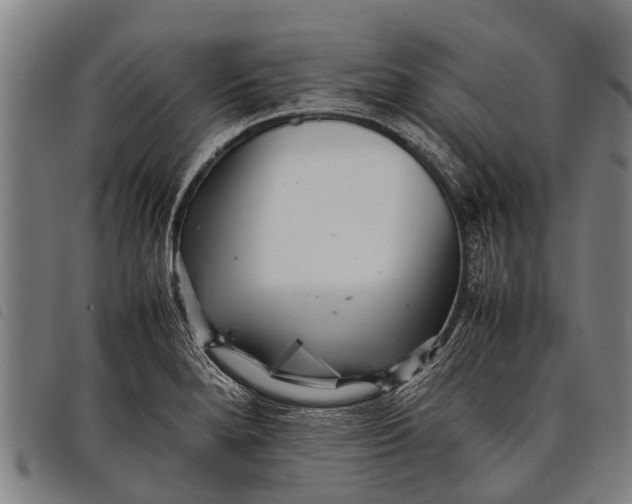 X0000097861280200804041520