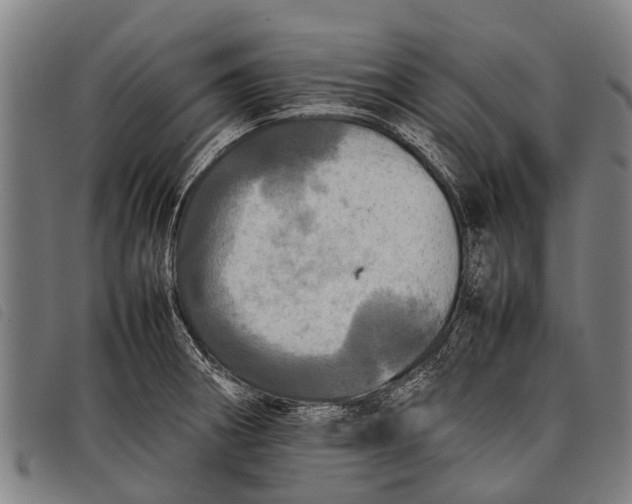 X0000097861282200804041520