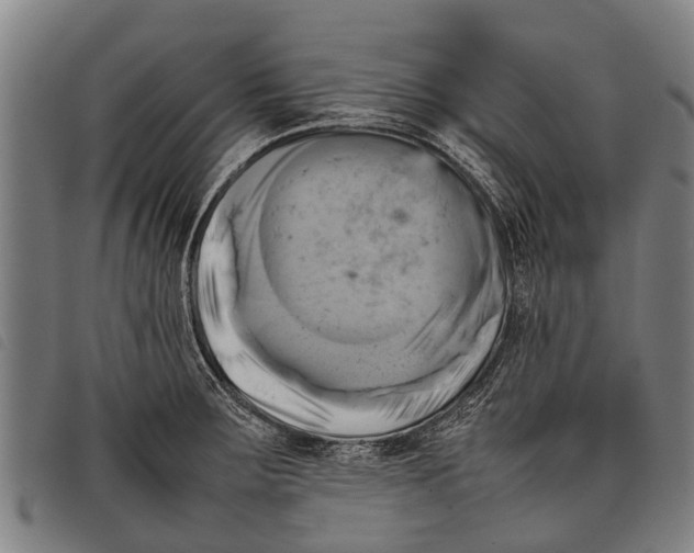 X0000097861283200804041520