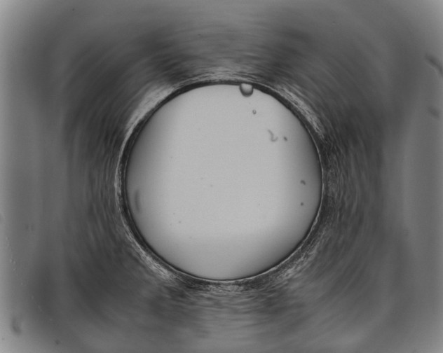 X0000097861285200804041520