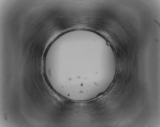 X0000097861286200804041520