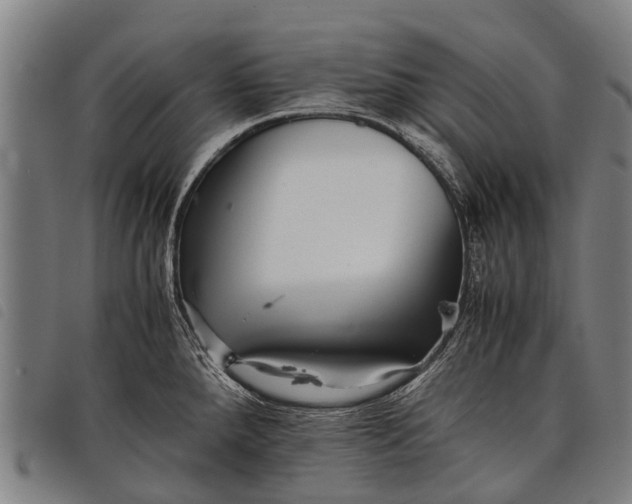 X0000097861288200804041520