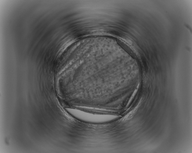 X0000097861289200804041520