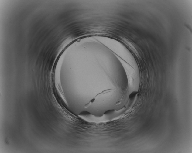 X0000097861291200804041520