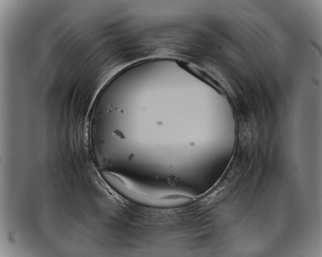 X0000097861292200804041520