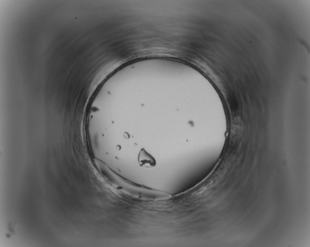 X0000097861293200804041520