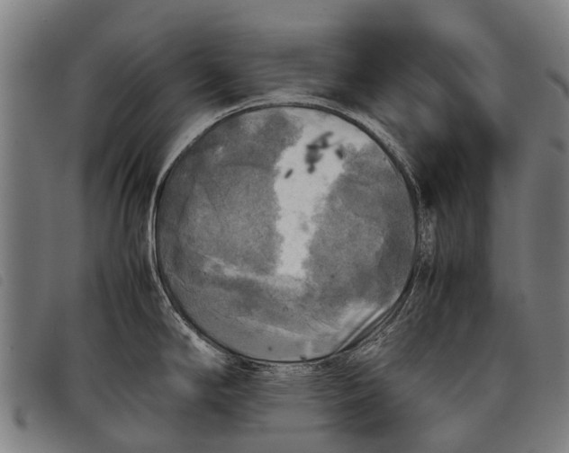 X0000097861294200804041520