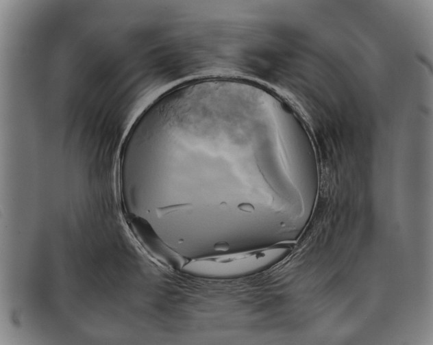 X0000097861295200804041520