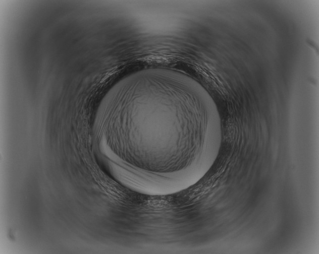 X0000097861297200804041520