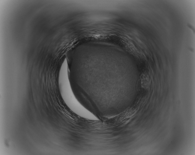 X0000097861298200804041520