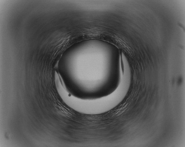 X0000097861299200804041520