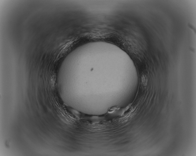 X0000097861300200804041520