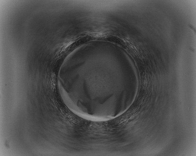 X0000097861301200804041520