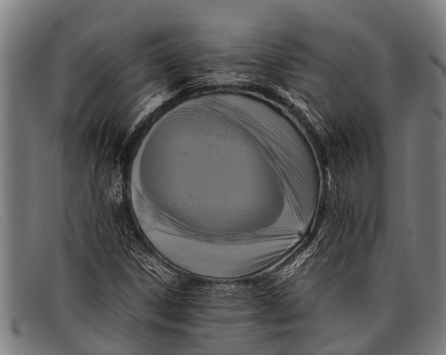 X0000097861306200804041520