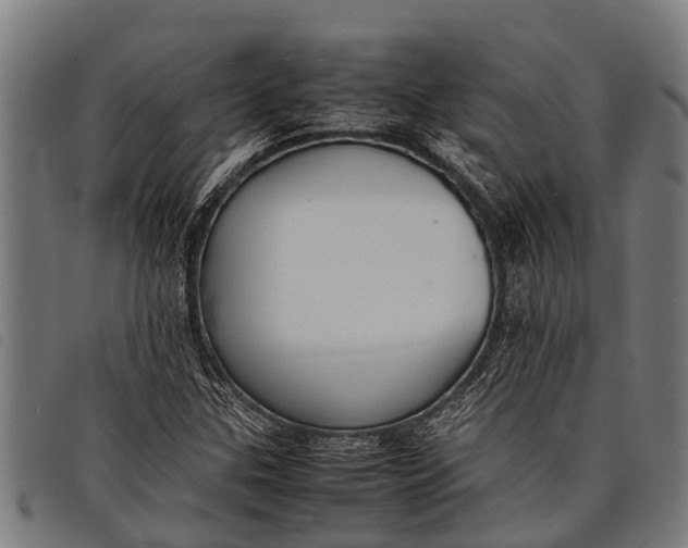 X0000097861307200804041520