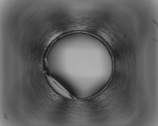 X0000097861308200804041520