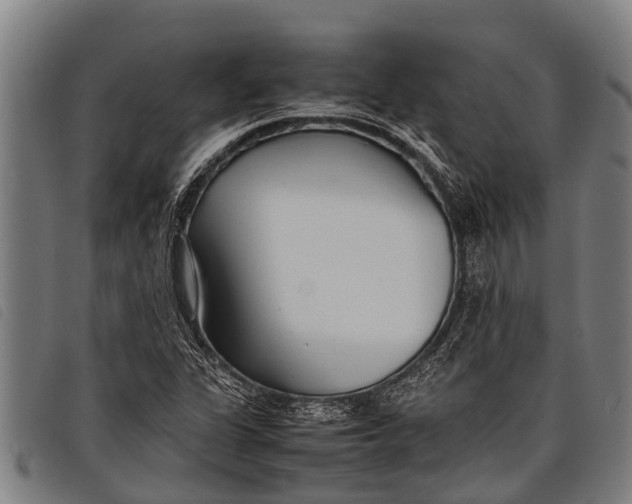 X0000097861311200804041520