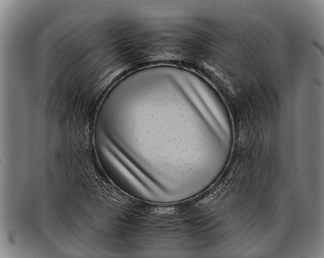 X0000097861313200804041520