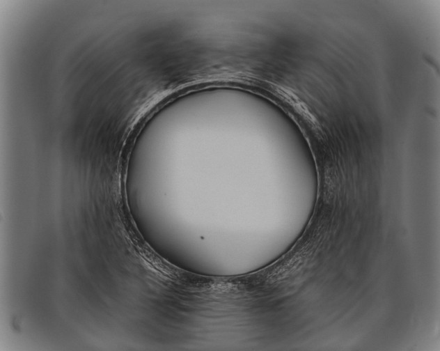 X0000097861316200804041520