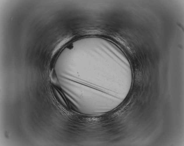 X0000097861317200804041520