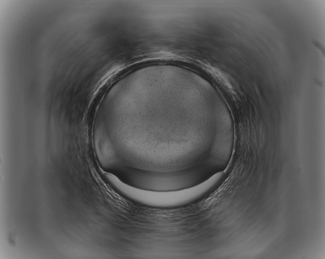 X0000097861318200804041520