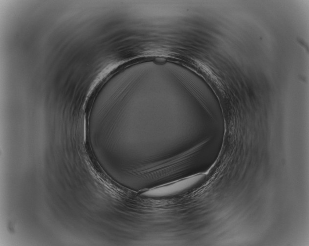 X0000097861323200804041520