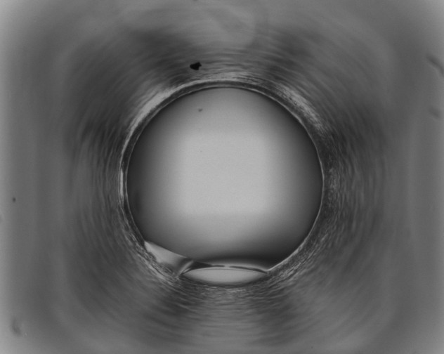 X0000097861324200804041520