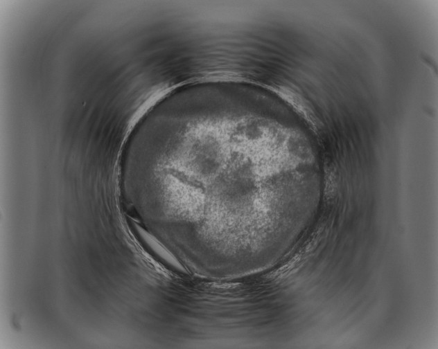 X0000097861325200804041520