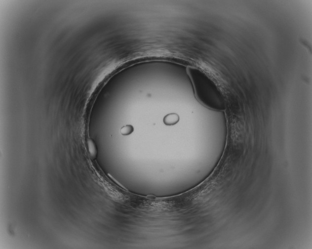 X0000097861326200804041520