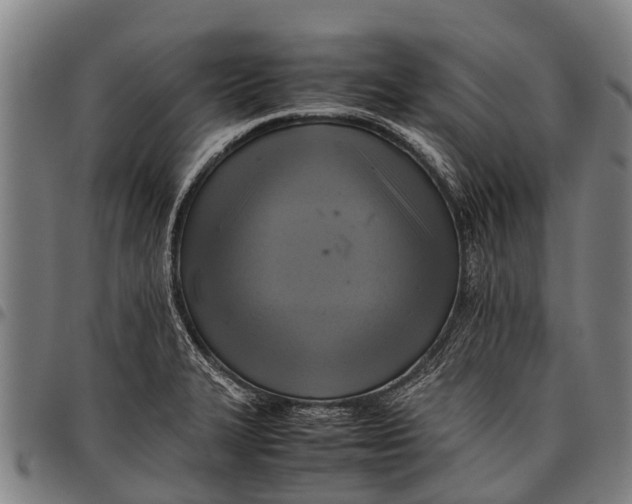 X0000097861327200804041520