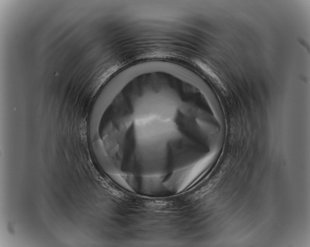 X0000097861329200804041520