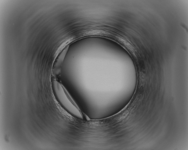 X0000097861330200804041520