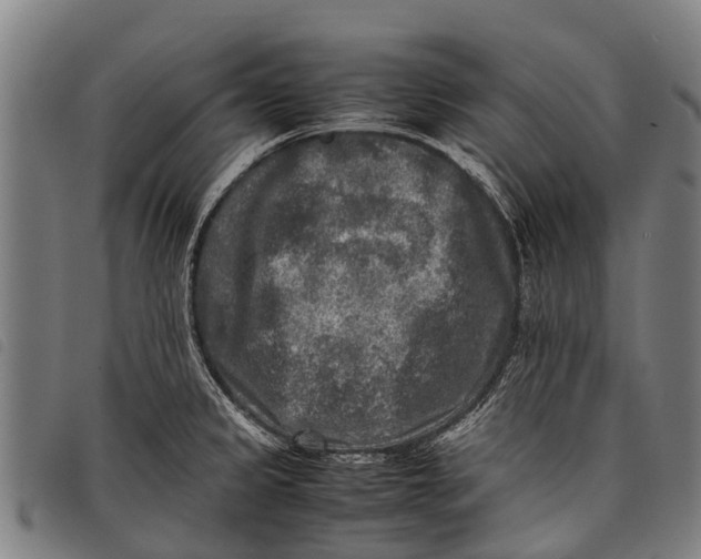 X0000097861333200804041520