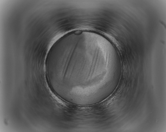 X0000097861335200804041520