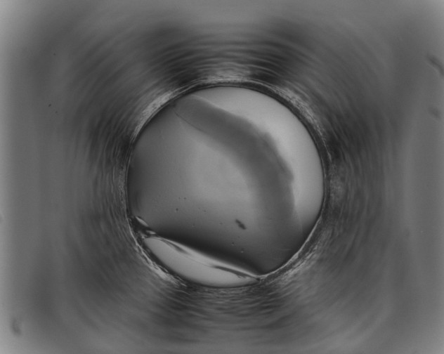 X0000097861337200804041520