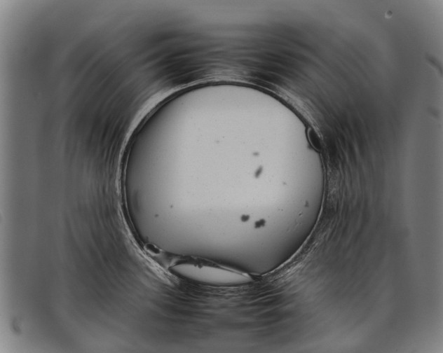 X0000097861339200804041520