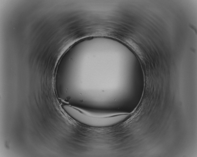 X0000097861340200804041520