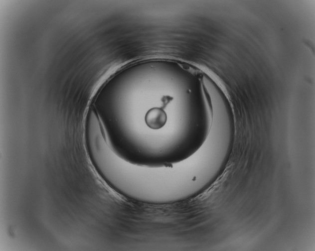 X0000097861341200804041520