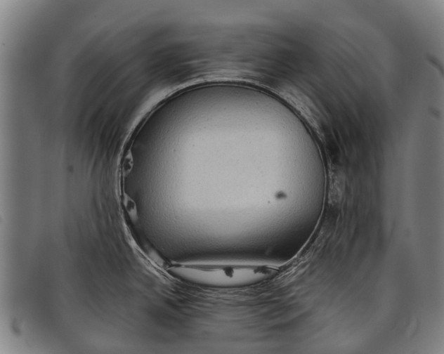 X0000097861342200804041520