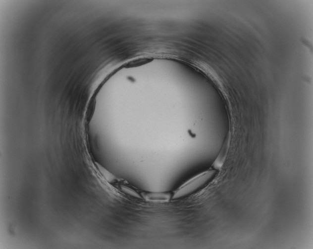 X0000097861344200804041520