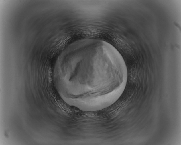 X0000097861346200804041520